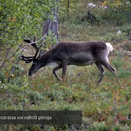 Lomavaara Ivalo